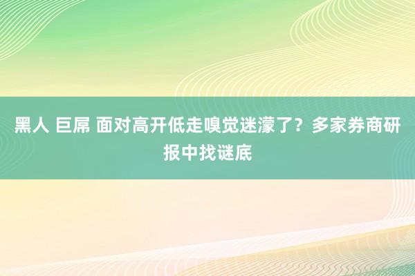 黑人 巨屌 面对高开低走嗅觉迷濛了？多家券商研报中找谜底