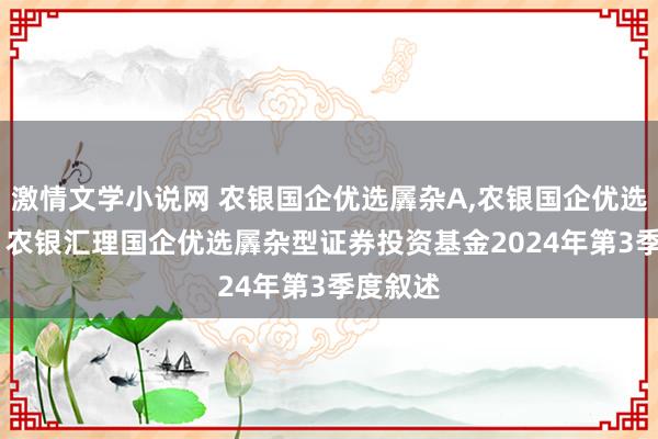 激情文学小说网 农银国企优选羼杂A,农银国企优选羼杂C: 农银汇理国企优选羼杂型证券投资基金2024年第3季度叙述