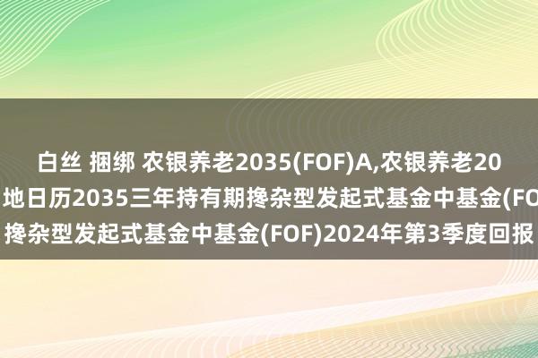 白丝 捆绑 农银养老2035(FOF)A,农银养老2035(FOF)Y: 农银养老场地日历2035三年持有期搀杂型发起式基金中基金(FOF)2024年第3季度回报