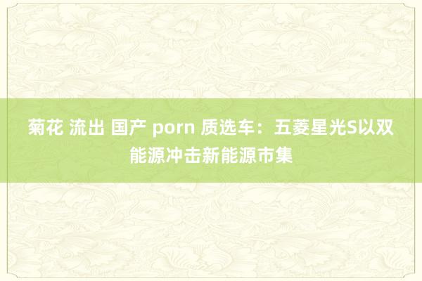 菊花 流出 国产 porn 质选车：五菱星光S以双能源冲击新能源市集