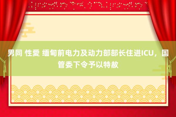 男同 性愛 缅甸前电力及动力部部长住进ICU，国管委下令予以特赦