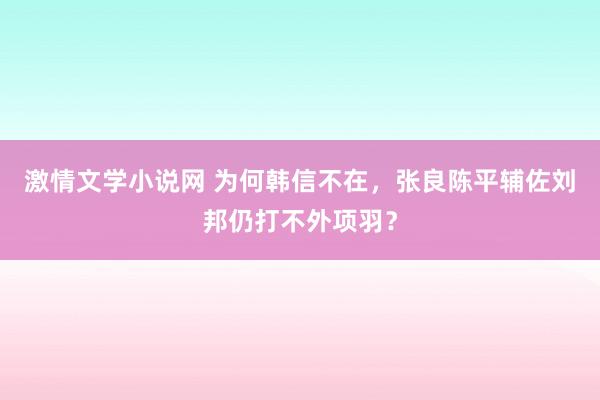 激情文学小说网 为何韩信不在，张良陈平辅佐刘邦仍打不外项羽？