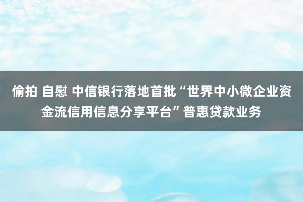 偷拍 自慰 中信银行落地首批“世界中小微企业资金流信用信息分享平台”普惠贷款业务