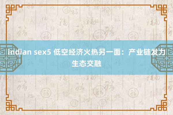 indian sex5 低空经济火热另一面：产业链发力生态交融