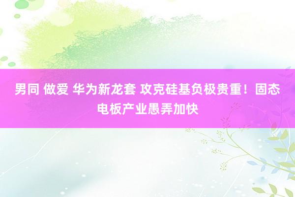 男同 做爱 华为新龙套 攻克硅基负极贵重！固态电板产业愚弄加快