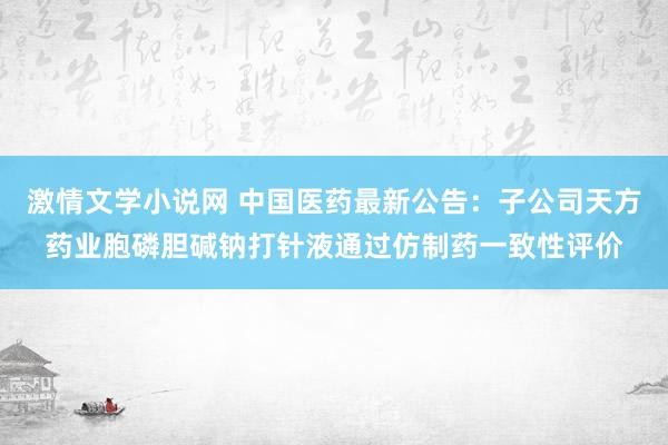 激情文学小说网 中国医药最新公告：子公司天方药业胞磷胆碱钠打针液通过仿制药一致性评价