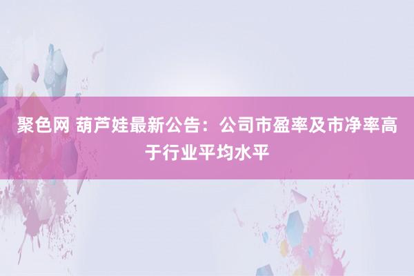 聚色网 葫芦娃最新公告：公司市盈率及市净率高于行业平均水平