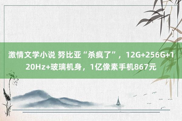 激情文学小说 努比亚“杀疯了”，12G+256G+120Hz+玻璃机身，1亿像素手机867元