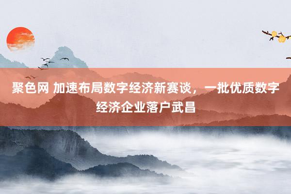 聚色网 加速布局数字经济新赛谈，一批优质数字经济企业落户武昌