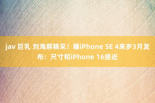 jav 巨乳 刘海屏精采！曝iPhone SE 4来岁3月发布：尺寸和iPhone 16接近