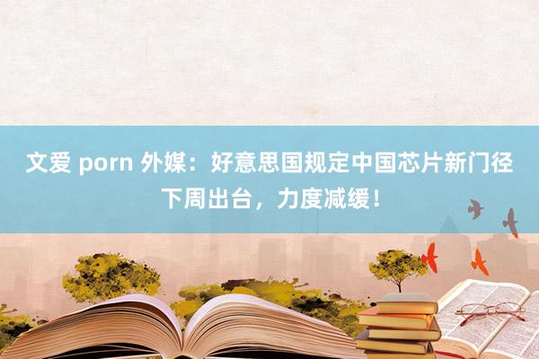 文爱 porn 外媒：好意思国规定中国芯片新门径下周出台，力度减缓！