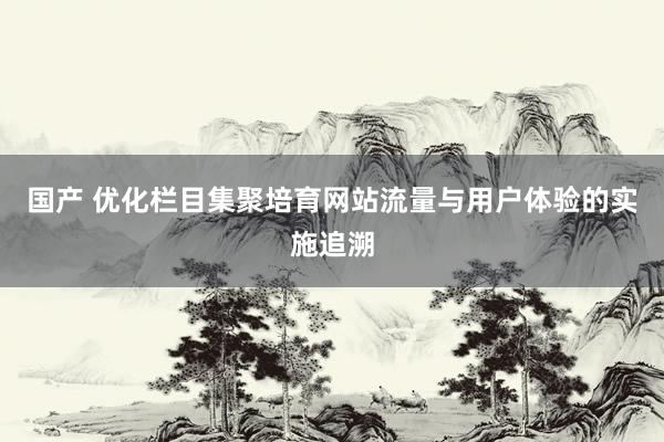 国产 优化栏目集聚培育网站流量与用户体验的实施追溯