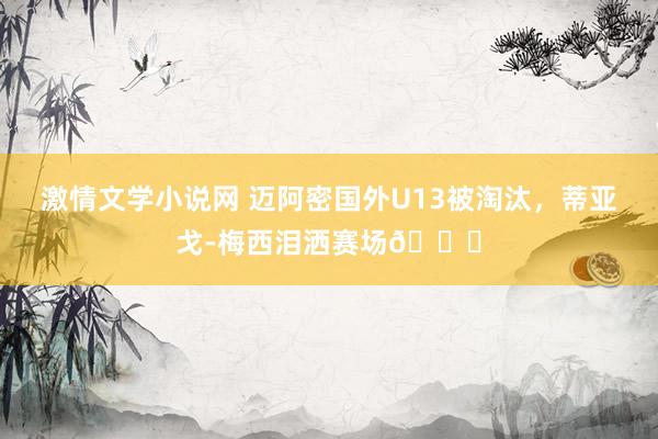 激情文学小说网 迈阿密国外U13被淘汰，蒂亚戈-梅西泪洒赛场💔