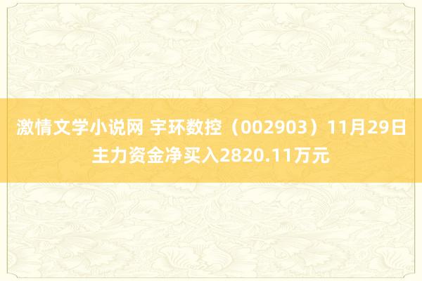 激情文学小说网 宇环数控（002903）11月29日主力资金净买入2820.11万元