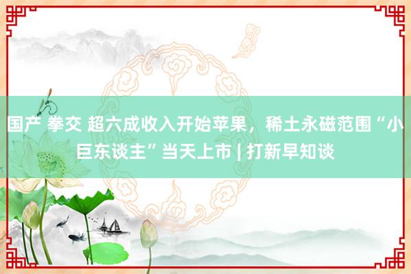 国产 拳交 超六成收入开始苹果，稀土永磁范围“小巨东谈主”当天上市 | 打新早知谈