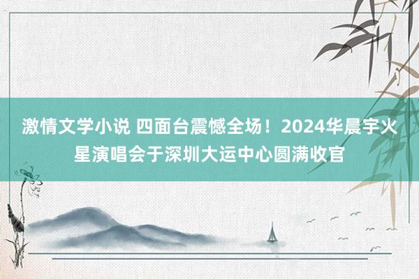 激情文学小说 四面台震憾全场！2024华晨宇火星演唱会于深圳大运中心圆满收官