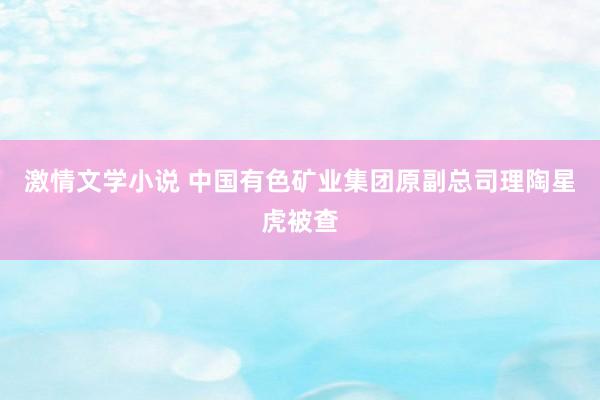 激情文学小说 中国有色矿业集团原副总司理陶星虎被查