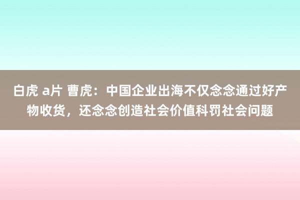 白虎 a片 曹虎：中国企业出海不仅念念通过好产物收货，还念念创造社会价值科罚社会问题