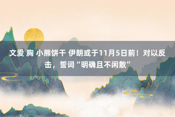 文爱 胸 小熊饼干 伊朗或于11月5日前！对以反击，誓词“明确且不闲散”