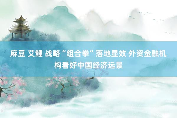 麻豆 艾鲤 战略“组合拳”落地显效 外资金融机构看好中国经济远景