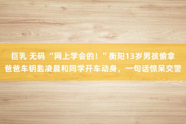 巨乳 无码 “网上学会的！”衡阳13岁男孩偷拿爸爸车钥匙凌晨和同学开车动身，一句话惊呆交警
