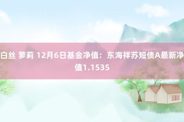 白丝 萝莉 12月6日基金净值：东海祥苏短债A最新净值1.1535