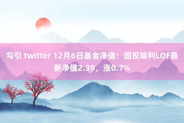 勾引 twitter 12月6日基金净值：国投瑞利LOF最新净值2.39，涨0.7%