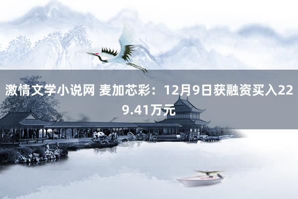 激情文学小说网 麦加芯彩：12月9日获融资买入229.41万元