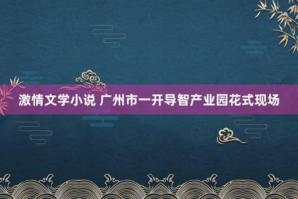 激情文学小说 广州市一开导智产业园花式现场