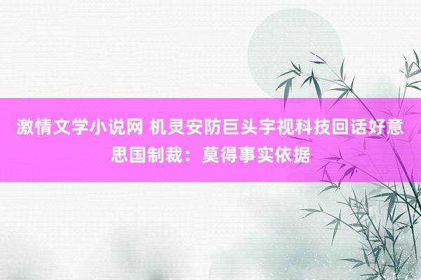 激情文学小说网 机灵安防巨头宇视科技回话好意思国制裁：莫得事实依据