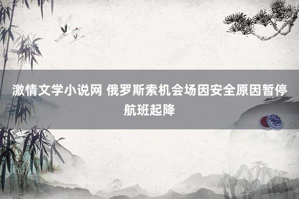 激情文学小说网 俄罗斯索机会场因安全原因暂停航班起降