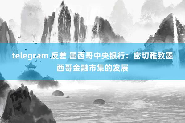 telegram 反差 墨西哥中央银行：密切雅致墨西哥金融市集的发展