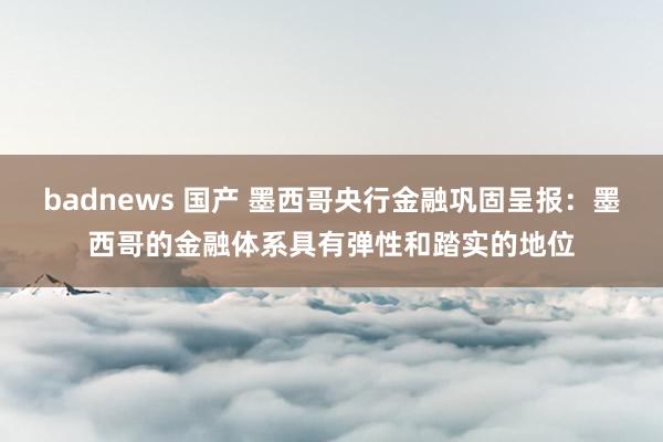 badnews 国产 墨西哥央行金融巩固呈报：墨西哥的金融体系具有弹性和踏实的地位