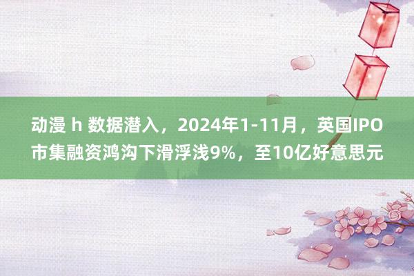 动漫 h 数据潜入，2024年1-11月，英国IPO市集融资鸿沟下滑浮浅9%，至10亿好意思元