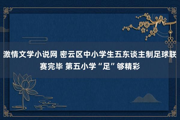 激情文学小说网 密云区中小学生五东谈主制足球联赛完毕 第五小学“足”够精彩