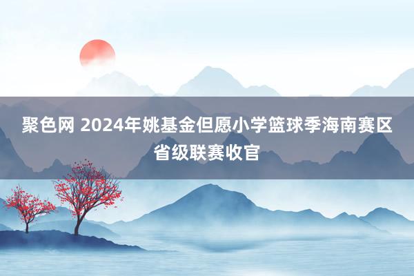 聚色网 2024年姚基金但愿小学篮球季海南赛区省级联赛收官