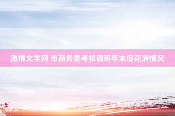 激情文学网 市商务委考核调研年末促花消情况