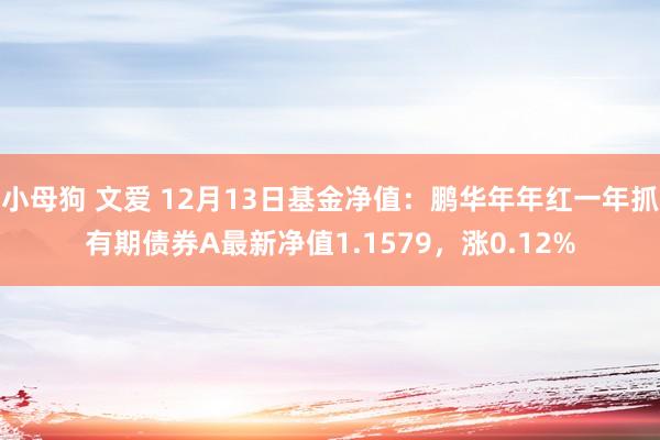 小母狗 文爱 12月13日基金净值：鹏华年年红一年抓有期债券A最新净值1.1579，涨0.12%