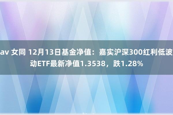 av 女同 12月13日基金净值：嘉实沪深300红利低波动ETF最新净值1.3538，跌1.28%