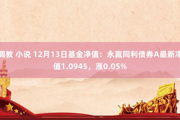调教 小说 12月13日基金净值：永赢同利债券A最新净值1.0945，涨0.05%