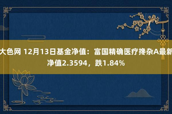 大色网 12月13日基金净值：富国精确医疗搀杂A最新净值2.3594，跌1.84%