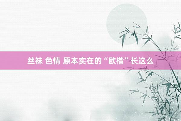 丝袜 色情 原本实在的“欧楷”长这么