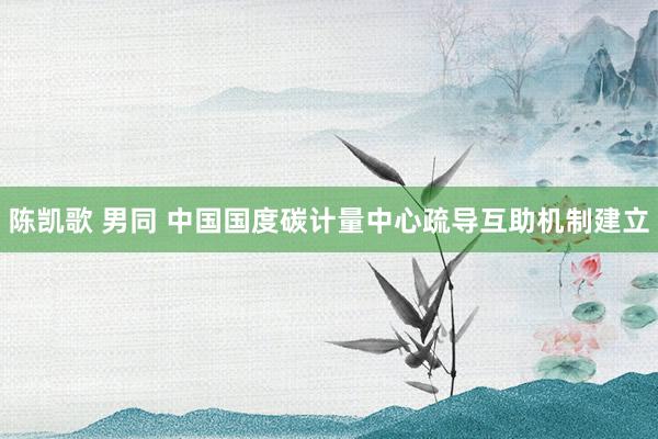 陈凯歌 男同 中国国度碳计量中心疏导互助机制建立