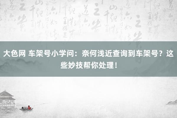 大色网 车架号小学问：奈何浅近查询到车架号？这些妙技帮你处理！