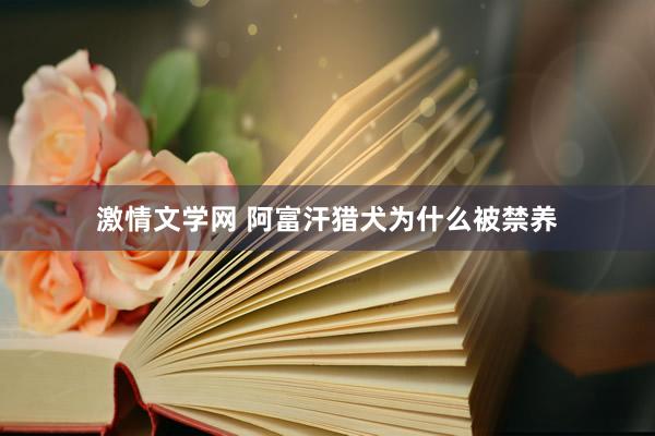 激情文学网 阿富汗猎犬为什么被禁养