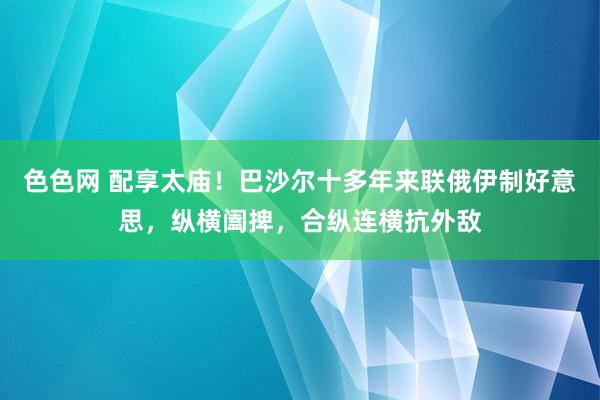 色色网 配享太庙！巴沙尔十多年来联俄伊制好意思，纵横阖捭，合纵连横抗外敌