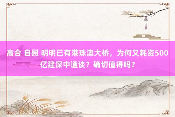 高合 自慰 明明已有港珠澳大桥，为何又耗资500亿建深中通谈？确切值得吗？