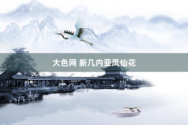 大色网 新几内亚凤仙花