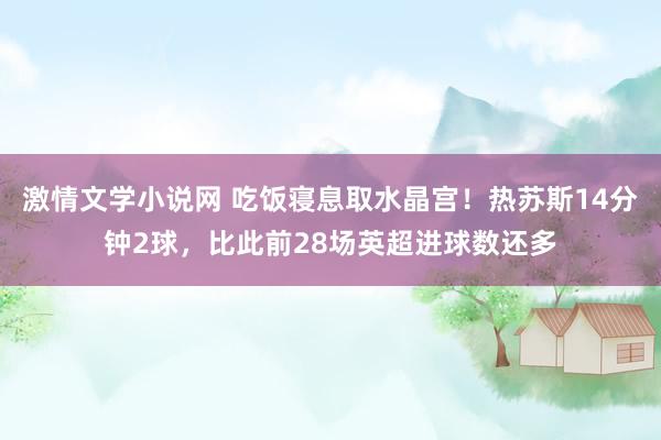 激情文学小说网 吃饭寝息取水晶宫！热苏斯14分钟2球，比此前28场英超进球数还多