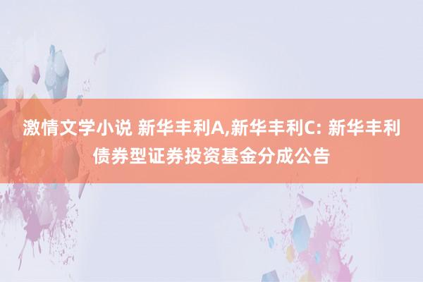 激情文学小说 新华丰利A，新华丰利C: 新华丰利债券型证券投资基金分成公告